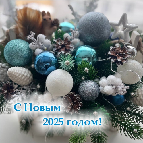 Режим работы в Новогодние праздники 2025